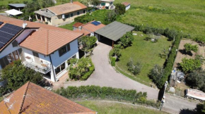 Appartamenti Mimosa - Clima, giardino, posti auto Marina Di Campo